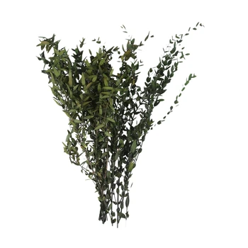 Artificial Fine Leaf Eucalyptus Silver Dollar Leaves Foliage Plants Greenery Fake Plastic Branches Greens Bushes, Wedding Favor
Artificial Fine Leaf Eucalyptus Silver Dollar Leaves Foliage Plants Greenery Fake Plastic Branches Greens Bushes, Wedding Favor