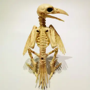 Party Shop Animal Halloween Skeleton Bat Bone Simulation Fearful Prop Bar Bat Skeleton Bat Model Nontoxic Decoration
Party Shop Animal Halloween Skeleton Bat Bone Simulation Fearful Prop Bar Bat Skeleton Bat Model Nontoxic Decoration
