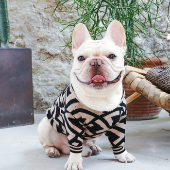 Dog Sweater for Small Dogs Winter Pet Dog Clothes For Dogs Coat Jacket Cotton Ropa Perro French Bulldog Clothing Puppy Costume
Dog Sweater for Small Dogs Winter Pet Dog Clothes For Dogs Coat Jacket Cotton Ropa Perro French Bulldog Clothing Puppy Costume