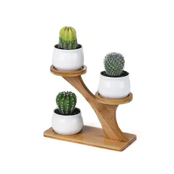 Modern Simple White Succulent Plant Vase With Treetop Bamboo Frame Combination Ceramic Flower Pot Home Office Table Decoration 
Modern Simple White Succulent Plant Vase With Treetop Bamboo Frame Combination Ceramic Flower Pot Home Office Table Decoration