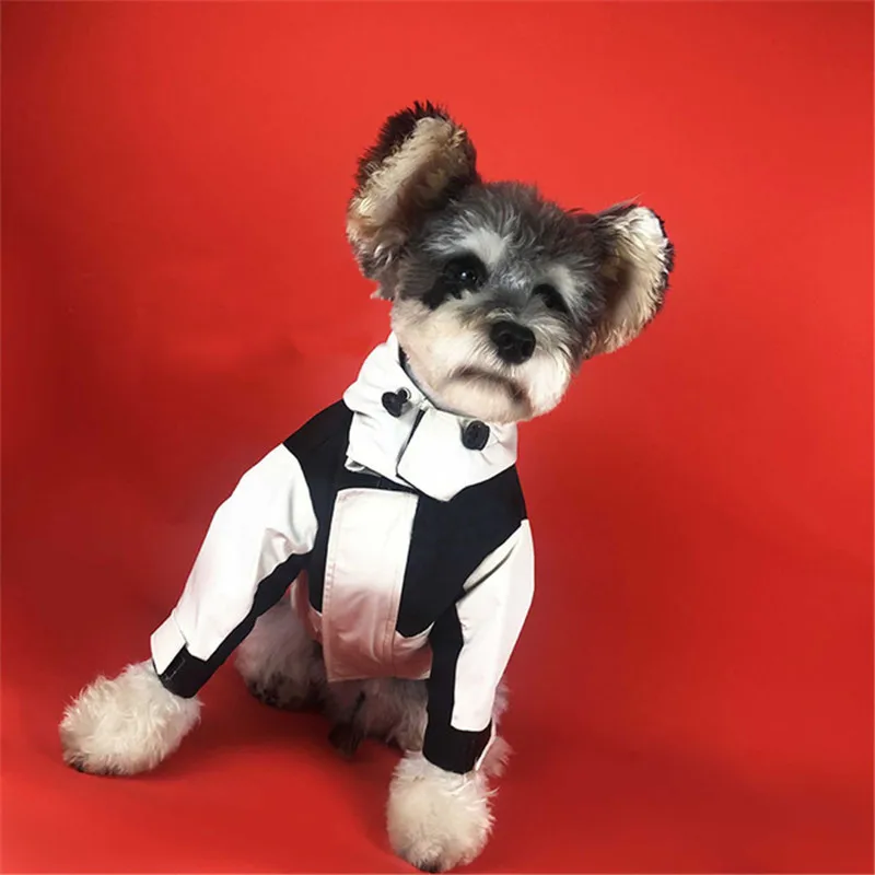 Dog Clothes for Small Dogs Winter Coat for Small Dogs French Bulldog Chihuahua Detachable Jacket for Pet
Dog Clothes for Small Dogs Winter Coat for Small Dogs French Bulldog Chihuahua Detachable Jacket for Pet