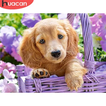 HUACAN Diamond Painting Full Square New Arrival Dog New Diamond Embroidery Animal Picture Of Rhinestone Wall Decor
HUACAN Diamond Painting Full Square New Arrival Dog New Diamond Embroidery Animal Picture Of Rhinestone Wall Decor