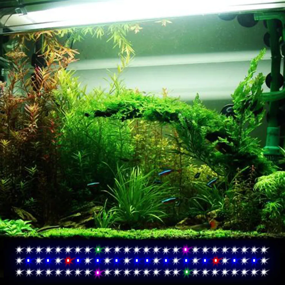 LED Aquarium Light 30CM 45CM 70CM LED Aquarium Light Bar Full Spectrum Fish Tank Light for Freshwater
LED Aquarium Light 30CM 45CM 70CM LED Aquarium Light Bar Full Spectrum Fish Tank Light for Freshwater