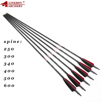 6/12PCS Linkboy Archery 3K Weave Pure Carbon Arrows 32" SP250-600 ID6.2mm for Compound /Recurve Bow Hunting Shooting
6/12PCS Linkboy Archery 3K Weave Pure Carbon Arrows 32" SP250-600 ID6.2mm for Compound /Recurve Bow Hunting Shooting