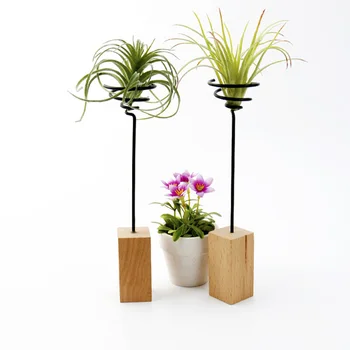 3pcs Airplant Container Air Plant Stand Wooden Base Tabletop Plant Display Racks Office Decor
3pcs Airplant Container Air Plant Stand Wooden Base Tabletop Plant Display Racks Office Decor