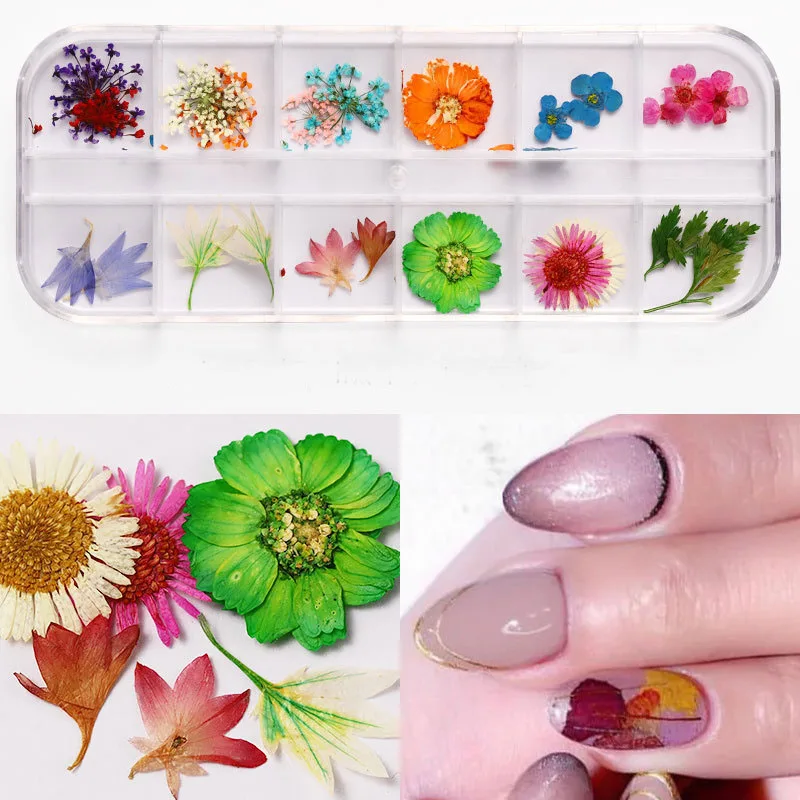 12 Designs/Box Nails Accessories Flower Three-Dimensional Applique 3D Nail Stickers Dried Flowers For Lady Finger DIY Nail Art
12 Designs/Box Nails Accessories Flower Three-Dimensional Applique 3D Nail Stickers Dried Flowers For Lady Finger DIY Nail Art