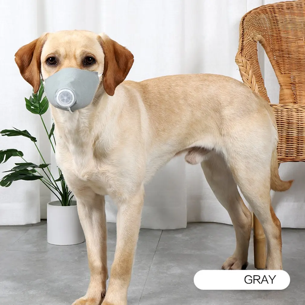 Protective Dog Mouth Cover Pet Dog Face Mask Dog Anti-Dust And Anti-Haze Mask Epidemic Prevention Supplies 1/3Pcs
Protective Dog Mouth Cover Pet Dog Face Mask Dog Anti-Dust And Anti-Haze Mask Epidemic Prevention Supplies 1/3Pcs