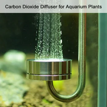 Stainless Steel Aquarium CO2 System Diffuser Atomizer U-Tubes Bend Fish Tank Carbon Dioxide Reactor Ceramic refinement Kit Part
Stainless Steel Aquarium CO2 System Diffuser Atomizer U-Tubes Bend Fish Tank Carbon Dioxide Reactor Ceramic refinement Kit Part