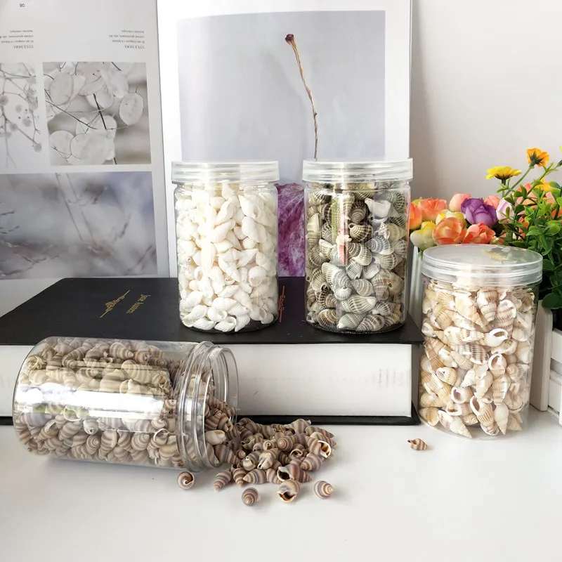 1 box Mini Natural Beige Shell Conch Beads sea conch Making Cowry Cowrie l Jewelery Craft Accessories sea star natural cr
1 box Mini Natural Beige Shell Conch Beads sea conch Making Cowry Cowrie l Jewelery Craft Accessories sea star natural cr