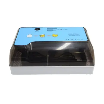 12 Semi-automatic Incubators Mini Temperature Control Incubator Household Egg Incubators Convenient And Durable Home Tools
12 Semi-automatic Incubators Mini Temperature Control Incubator Household Egg Incubators Convenient And Durable Home Tools