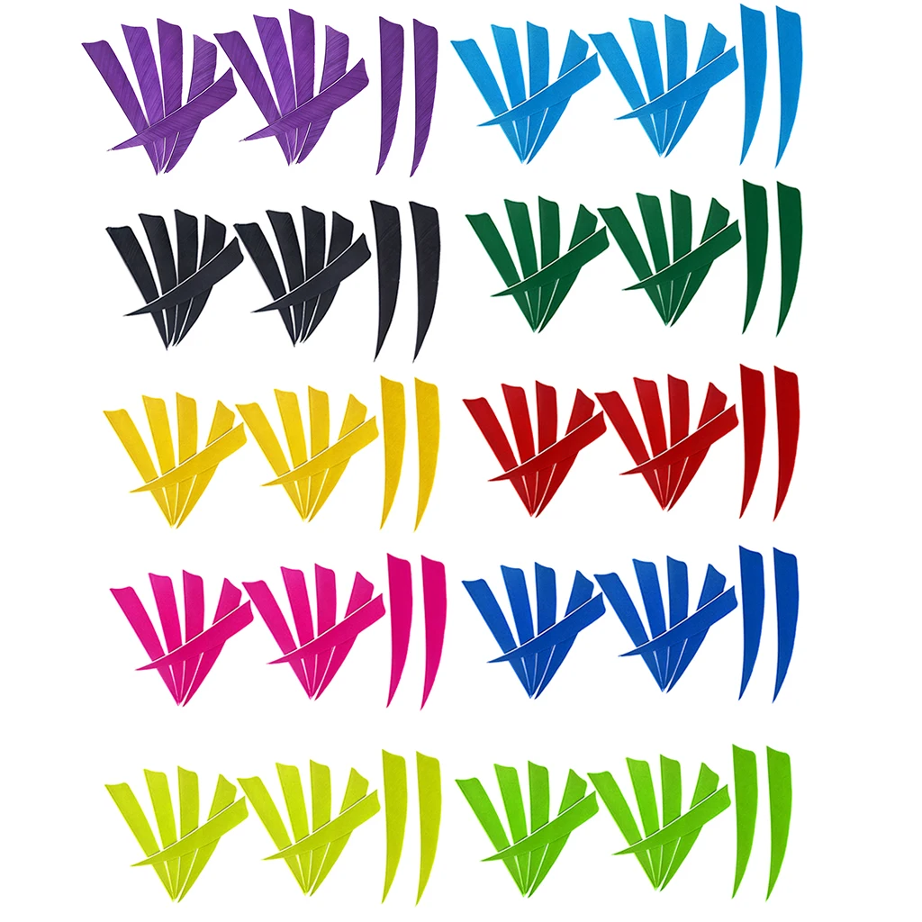12pcs Shield Cut Fletching Arrow Feathers 10 Color Turkey Feather Archery Arrow Accessories Fletches Feathers for DIY Vanes
12pcs Shield Cut Fletching Arrow Feathers 10 Color Turkey Feather Archery Arrow Accessories Fletches Feathers for DIY Vanes