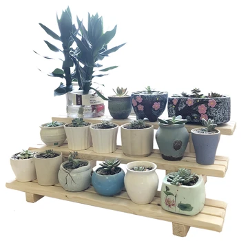 Float Windowsill Meaty Flower Airs Multi-storey Indoor Balcony Small-scale Meat Botany Frame Desktop Mini Small Flower Rack
Float Windowsill Meaty Flower Airs Multi-storey Indoor Balcony Small-scale Meat Botany Frame Desktop Mini Small Flower Rack