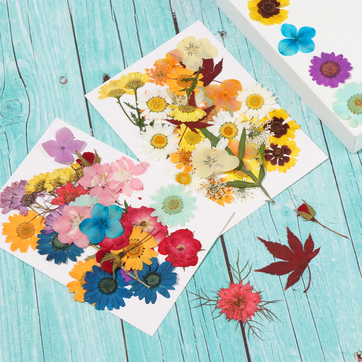 Dried Flowers Resin Mold Fillings Expoxy Flower for Nail Art Pressed Flowers for Silicone Molds DIY Art Craft Scrapbooking Decor
Dried Flowers Resin Mold Fillings Expoxy Flower for Nail Art Pressed Flowers for Silicone Molds DIY Art Craft Scrapbooking Decor