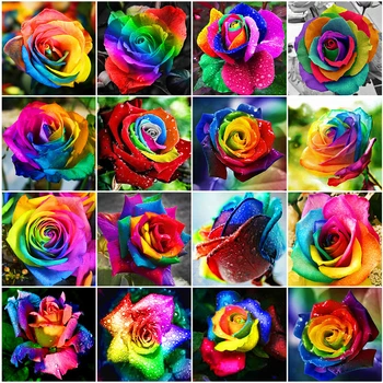 Evershine Full Square/Round Diamond Painting Cross Stitch Flower 5D DIY Diamond Embroidery Rose Mosaic Sale Home Decoration
Evershine Full Square/Round Diamond Painting Cross Stitch Flower 5D DIY Diamond Embroidery Rose Mosaic Sale Home Decoration