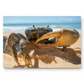 Blue Crab Beach Pliers Sea Animal Non-slip Doormat Bathroom Accessories Set Floor Carpet Home Decor
Blue Crab Beach Pliers Sea Animal Non-slip Doormat Bathroom Accessories Set Floor Carpet Home Decor