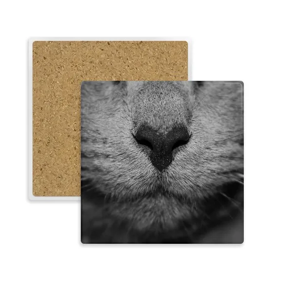 Animal Cat Photograph Shoot Picture Square Coaster Cup Mug Holder Absorbent Stone for Drinks 2pcs Gift
Animal Cat Photograph Shoot Picture Square Coaster Cup Mug Holder Absorbent Stone for Drinks 2pcs Gift