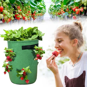 Plant Grow Bags Strawberry Planting Feltcloth Planting Container Bag Thicken Garden Pot Home Garden Bags Garden Tool 2020 Jardin
Plant Grow Bags Strawberry Planting Feltcloth Planting Container Bag Thicken Garden Pot Home Garden Bags Garden Tool 2020 Jardin