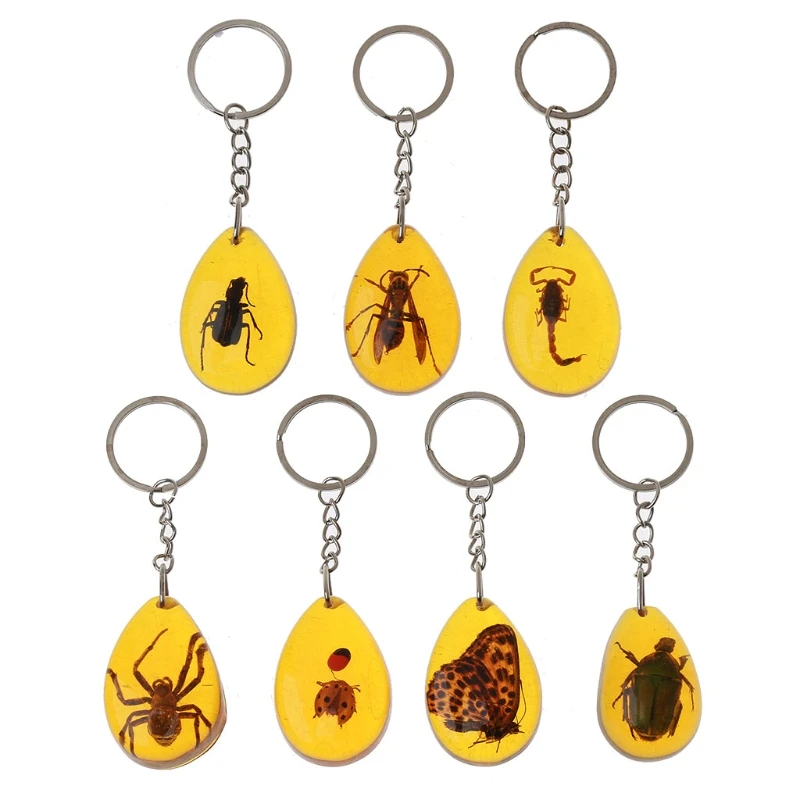 7Pcs Real Insect Amber Keychain Assorted Bugs Scorpions Rutelian Beetle Butterfly Keyrings Animal Specimens Collections
7Pcs Real Insect Amber Keychain Assorted Bugs Scorpions Rutelian Beetle Butterfly Keyrings Animal Specimens Collections