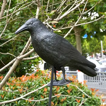 Trap PE Crow Decoy Fake Bird Hunting Black Realistic Pest Hunting Decoy Creative Garden Yard Scarecrow Outdoors
Trap PE Crow Decoy Fake Bird Hunting Black Realistic Pest Hunting Decoy Creative Garden Yard Scarecrow Outdoors