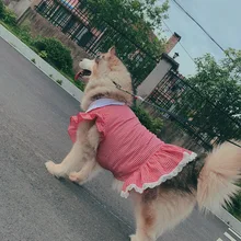 Spring and summer dog clothes puppy pet clothes medium and large dog clothes Labrador golden retriever large dog dress
Spring and summer dog clothes puppy pet clothes medium and large dog clothes Labrador golden retriever large dog dress