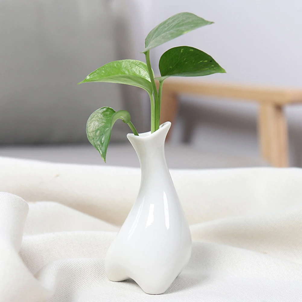 Ceramic Mini Flower Pot Vase Containers Candy Color Vase For Wedding Home Office Decor Ornaments Desktop Hydroponic Container
Ceramic Mini Flower Pot Vase Containers Candy Color Vase For Wedding Home Office Decor Ornaments Desktop Hydroponic Container