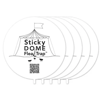 5pcs/set Non-poisonous Sticky Round Dome Refills Flea Trap Refill Replacements Discs Pads for Home Hallway Pet House Carpet
5pcs/set Non-poisonous Sticky Round Dome Refills Flea Trap Refill Replacements Discs Pads for Home Hallway Pet House Carpet
