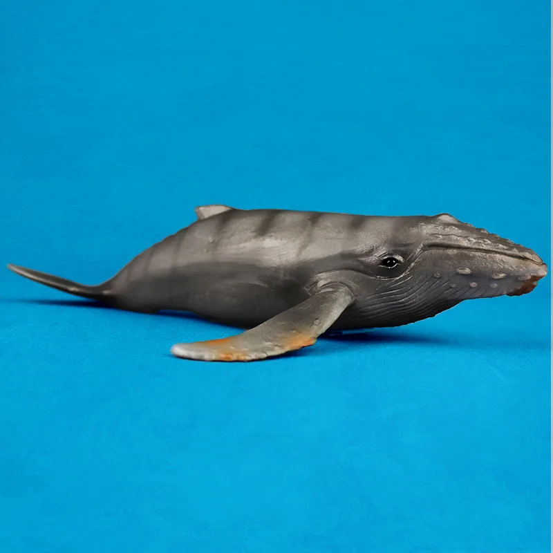 Cross Border Small Humpback Model Marine Organism Solid Whale Oceans Animal Model Plastic Kids' Toy Gift 
Cross Border Small Humpback Model Marine Organism Solid Whale Oceans Animal Model Plastic Kids' Toy Gift