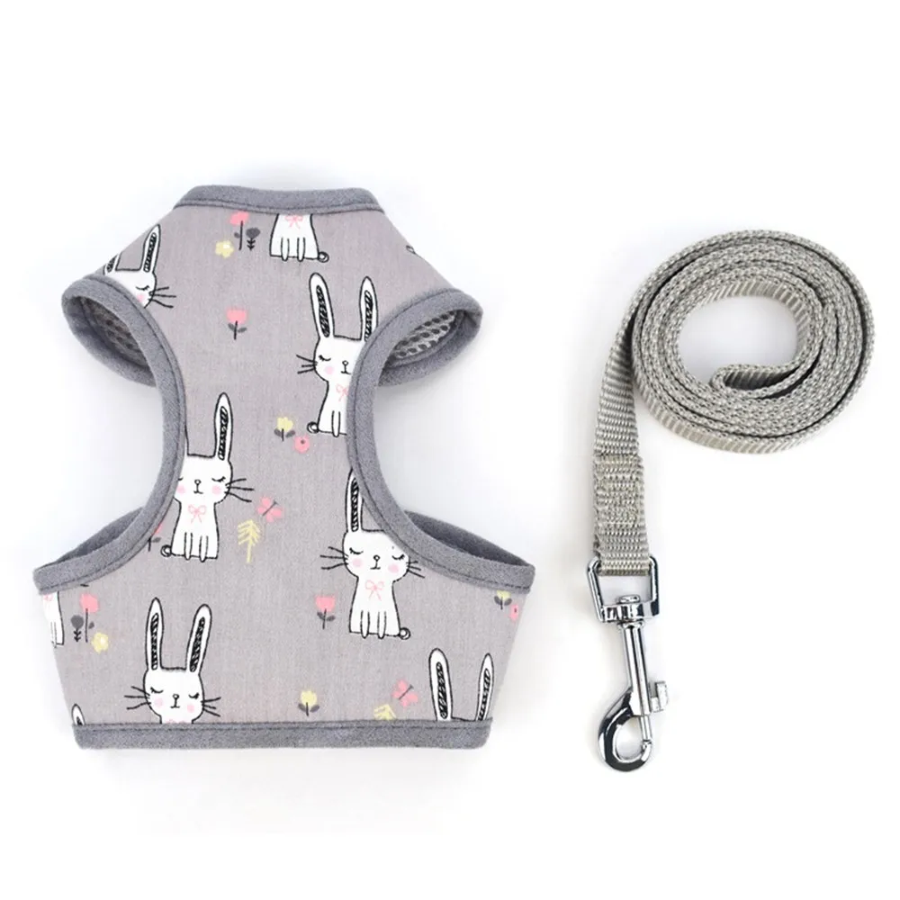 1 set Cat Dog Harness and Leash Set For Small Cats Dogs Kitten Pet Nylon Mesh Pet Vest Harness Lead Cat Collar Clothes Vest
1 set Cat Dog Harness and Leash Set For Small Cats Dogs Kitten Pet Nylon Mesh Pet Vest Harness Lead Cat Collar Clothes Vest