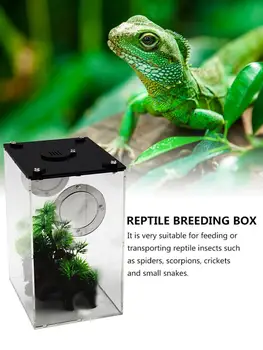 Reptile Feeding Box Transparent Panorama Insect Breeding Box Snake Spider Lizard Breathable Reptile Breeding Container
Reptile Feeding Box Transparent Panorama Insect Breeding Box Snake Spider Lizard Breathable Reptile Breeding Container