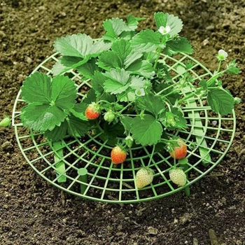 Multi Purpose Planting Rack Plastic Strawberry Frame Gardening Supplies Green for Plant Flower Fruit Climbing Vine Pillar 1Pcs
Multi Purpose Planting Rack Plastic Strawberry Frame Gardening Supplies Green for Plant Flower Fruit Climbing Vine Pillar 1Pcs