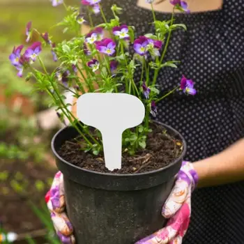 100pcs T-Type Bamboo Plant Labels Eco-Friendly Wooden Plant Sign Tags Garden Markers for Seed Potted Herbs Flowers Tools 
100pcs T-Type Bamboo Plant Labels Eco-Friendly Wooden Plant Sign Tags Garden Markers for Seed Potted Herbs Flowers Tools