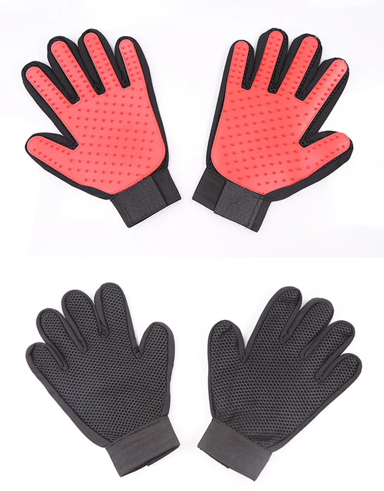 9329259164_1119372358