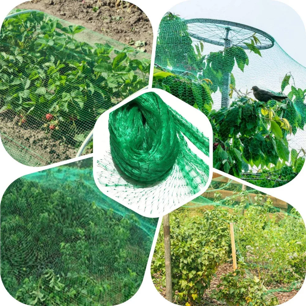 Garden Flower Mesh Protect Anti Bird Netting Plastic Pond Fruit Tree Vegetables Net Protection Crops
Garden Flower Mesh Protect Anti Bird Netting Plastic Pond Fruit Tree Vegetables Net Protection Crops