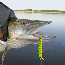Sinking Fishing Lures Hard Baits Bait Jerkbait Crankbaits Fishing Tackle Lure Kit with 3D Fish Eye Realistic Design Dropshipping
Sinking Fishing Lures Hard Baits Bait Jerkbait Crankbaits Fishing Tackle Lure Kit with 3D Fish Eye Realistic Design Dropshipping