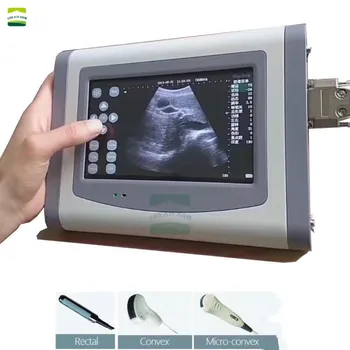 Touch screen Veterinary testing machine cattle dog Pregnancy Detector sheep Portable scanner Tester pig fetus test Farm device
Touch screen Veterinary testing machine cattle dog Pregnancy Detector sheep Portable scanner Tester pig fetus test Farm device