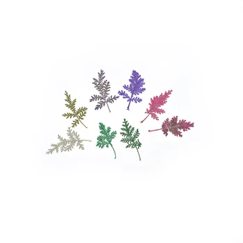 Flower Invitation Holly Flower Embossed Dijiao Plant Specimens of Natural Dried Flower Bouquet
Flower Invitation Holly Flower Embossed Dijiao Plant Specimens of Natural Dried Flower Bouquet