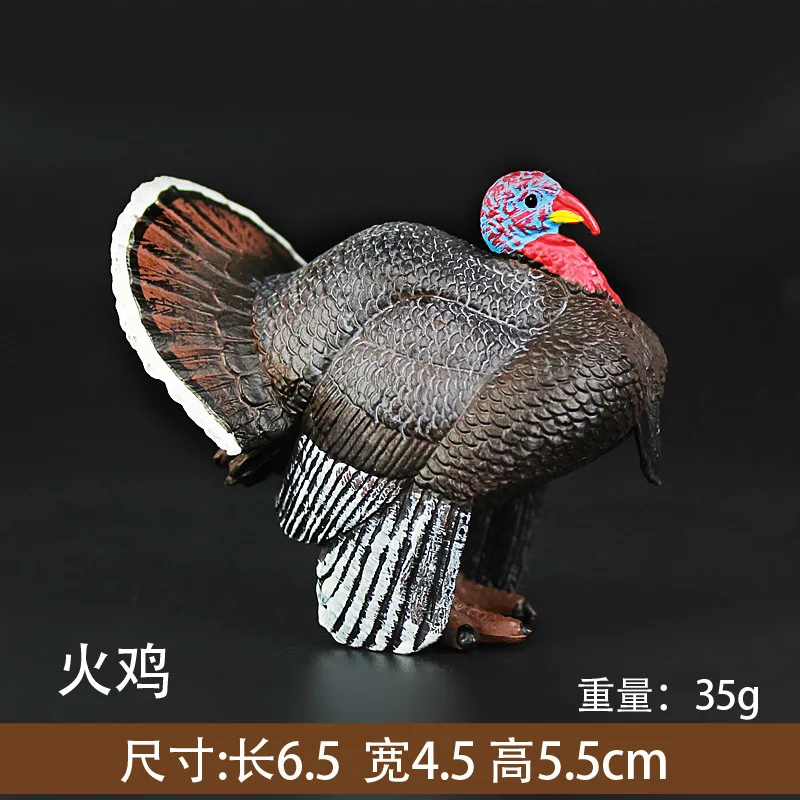 Model Wild Animal Turkey Model CHILDREN'S Toy Decoration Gift Animal Model Birds Model
Model Wild Animal Turkey Model CHILDREN'S Toy Decoration Gift Animal Model Birds Model