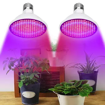 200LED Plant Growth Lamp Vegetable Seedling Fill Light Potted Succulent Grow Light Hydroponics Flower Indoor Plant Grow Lamp
200LED Plant Growth Lamp Vegetable Seedling Fill Light Potted Succulent Grow Light Hydroponics Flower Indoor Plant Grow Lamp