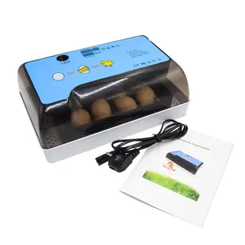 12 Semi-automatic Incubators Mini Temperature Control Incubator Household Egg Incubators Convenient And Durable Home Tools
12 Semi-automatic Incubators Mini Temperature Control Incubator Household Egg Incubators Convenient And Durable Home Tools