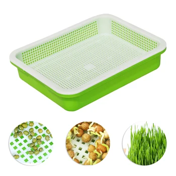 Nursery Pot Seed Sprouter Tray Vegetable Seedling Tray Sprout Plate Planting Container Grow Planter Pot for Garden Plants
Nursery Pot Seed Sprouter Tray Vegetable Seedling Tray Sprout Plate Planting Container Grow Planter Pot for Garden Plants
