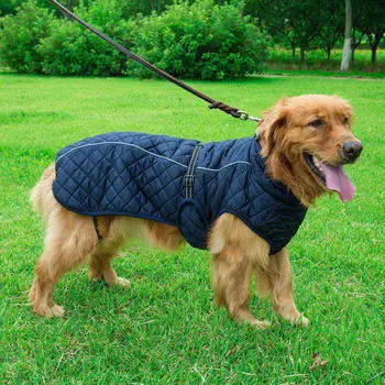 Pet Reflective Jacket Warm Large Dogs Thickening Warm Coat For Autumn Winter Puppy Coat Blue Red
Pet Reflective Jacket Warm Large Dogs Thickening Warm Coat For Autumn Winter Puppy Coat Blue Red