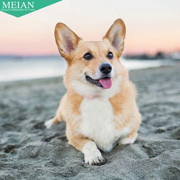 New DIY Diamond Painting cross stitch Welsh Corgi Dog Full round drill 5d Diamond Embroidery Mosaic rhinestone home decor
New DIY Diamond Painting cross stitch Welsh Corgi Dog Full round drill 5d Diamond Embroidery Mosaic rhinestone home decor