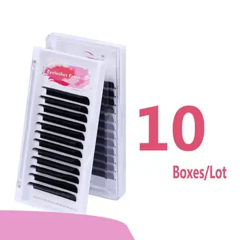 10 Trays Easy Fans Eyelashes Extension Without Logo Bloom Eyelash Extension Austomatic Flowering Fast Fan Self-Making Fans
10 Trays Easy Fans Eyelashes Extension Without Logo Bloom Eyelash Extension Austomatic Flowering Fast Fan Self-Making Fans