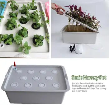 Nursery Pots with Holes Static Plant Site Hydroponic Systems Soilless Cultivation Seedling Box Grow Kit for Indoors Courtyard
Nursery Pots with Holes Static Plant Site Hydroponic Systems Soilless Cultivation Seedling Box Grow Kit for Indoors Courtyard