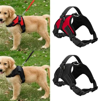 Dog Collar Pet Nylon Harness Adjustable Dog Leash Running Walking Sport Durable Leash For Medium Large Dogs Harness Collar Leash
Dog Collar Pet Nylon Harness Adjustable Dog Leash Running Walking Sport Durable Leash For Medium Large Dogs Harness Collar Leash