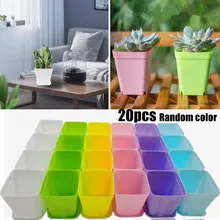 20pcs Mini Basin Square Flower Pot Succulent Plant Trays Color Mixing Home Office Decor DIY Garden Supplies
20pcs Mini Basin Square Flower Pot Succulent Plant Trays Color Mixing Home Office Decor DIY Garden Supplies