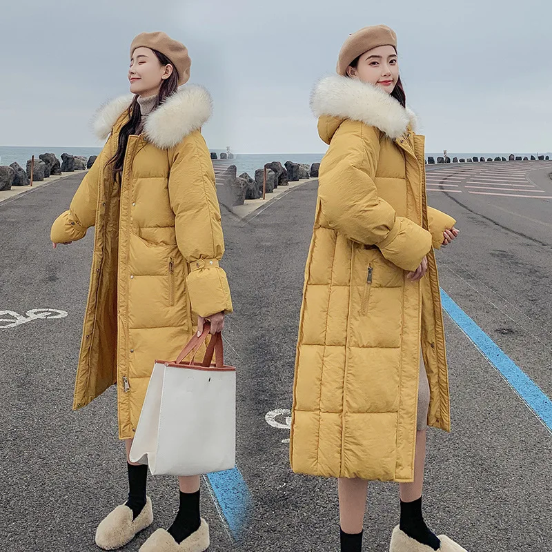 Photo Shoot 2019 Winter Korean-style Slim Fit Large Size Thick Mid-length Cotton-padded Clothes over-the-Knee down Feather Cotto 
Photo Shoot 2019 Winter Korean-style Slim Fit Large Size Thick Mid-length Cotton-padded Clothes over-the-Knee down Feather Cotto