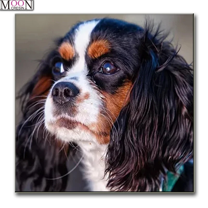 MOONCRESIN 5D DIY Diamond Painting "Long Hair Dog" Full Square/Round Drill Embroidery Cross Stitch 5D Home Decor Gift with beads
MOONCRESIN 5D DIY Diamond Painting "Long Hair Dog" Full Square/Round Drill Embroidery Cross Stitch 5D Home Decor Gift with beads