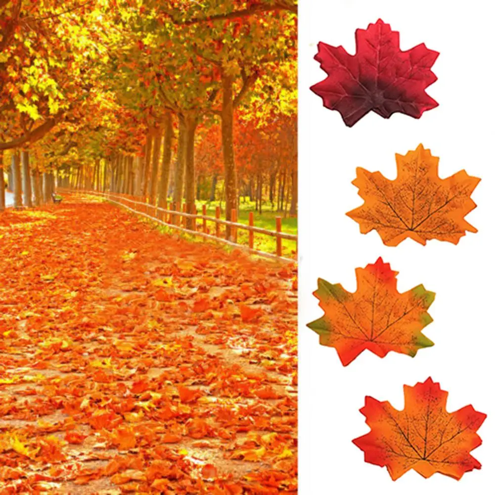 50/100Pcs Fadeless Fake Maple Leaves Simulation Silk Maple Leaves for Party Wedding Decoration Bathroom Accessories Home Decor
50/100Pcs Fadeless Fake Maple Leaves Simulation Silk Maple Leaves for Party Wedding Decoration Bathroom Accessories Home Decor
