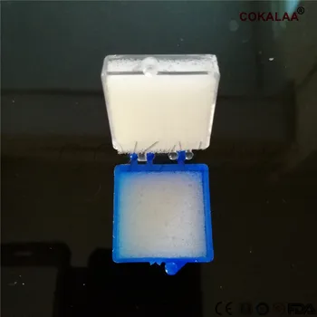 1000 pieces Dental Lab Tools Dental Plastic Shipping Box/ Crown Transporting Box with Foam Inserts for Single Crowns & Bridge 
1000 pieces Dental Lab Tools Dental Plastic Shipping Box/ Crown Transporting Box with Foam Inserts for Single Crowns & Bridge